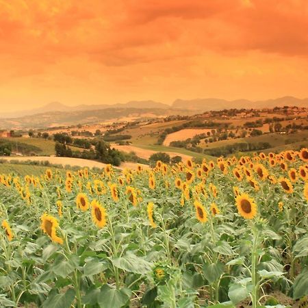 Casa Vacanze Angelica Ostra Vetere Kültér fotó