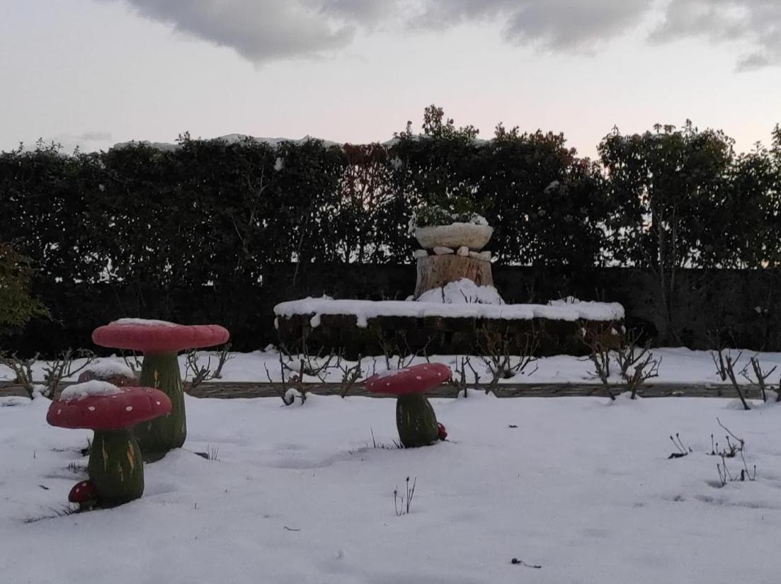 Casa Vacanze Angelica Ostra Vetere Kültér fotó