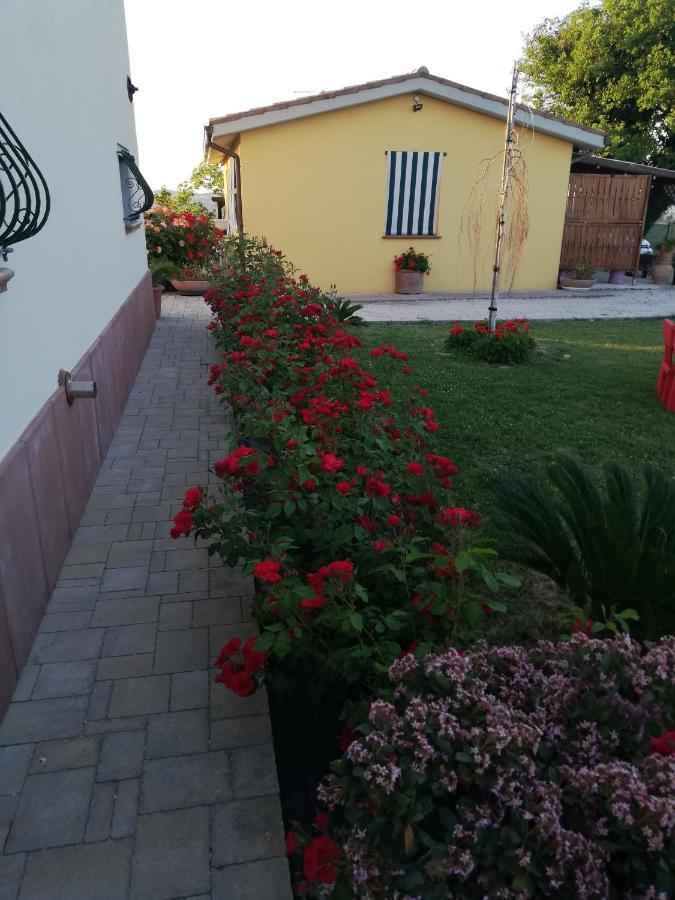 Casa Vacanze Angelica Ostra Vetere Kültér fotó