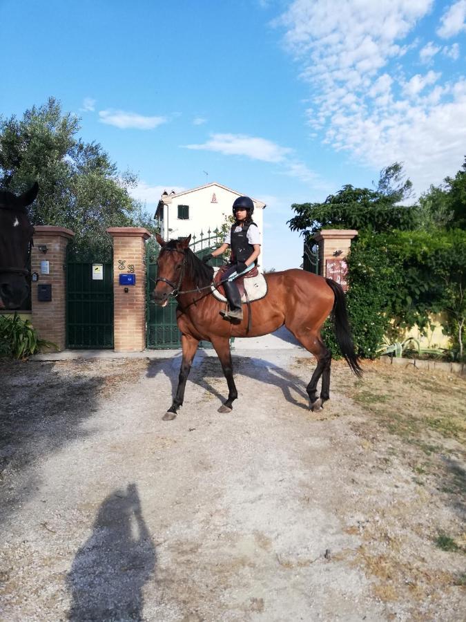 Casa Vacanze Angelica Ostra Vetere Kültér fotó